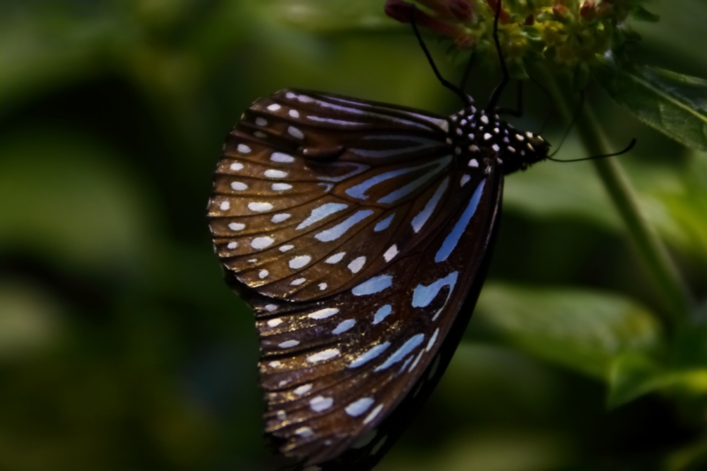 2012 08 03 9999 178